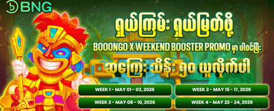 ပိတ်ရက်အထူးပရိုမိုးရှင်းများ
